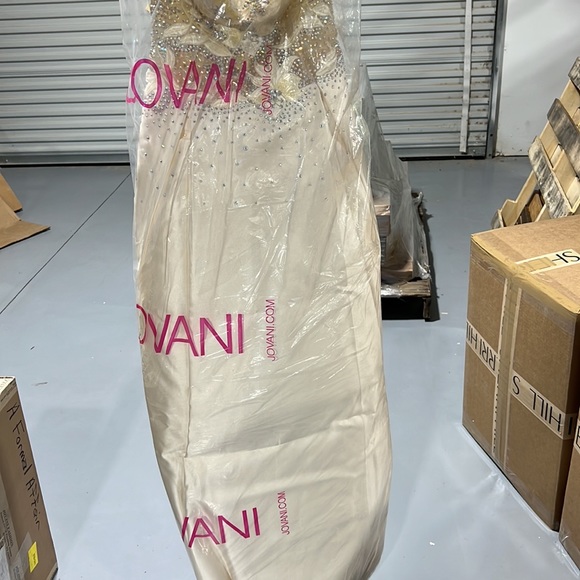 Gorgeous Jovani prom/ evening dress. Color is Ivory. Size 10. - Picture 5 of 6